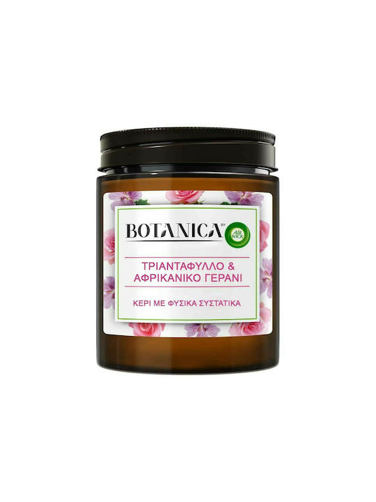 Airwick Αρωματικό Κερί Botanica σε Βάζο με Άρωμα Τριαντάφυλλο & Αφρικανικό Γεράνι Πολύχρωμο - Image 1