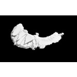 Wet n Wild Color Icon Eye Shadow Single E341A Sugar - Image 3