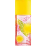Elizabeth Arden Green Tea Mimosa Eau de Toilette 100ml - Image 2
