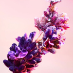 Rabanne Phantom Αποσμητικό σε Stick 75ml - Image 3