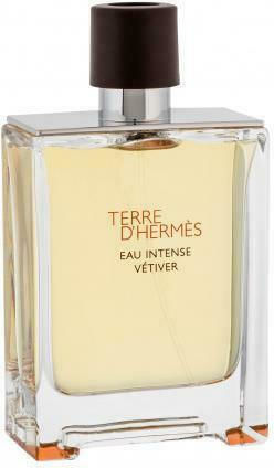 Hermes Terre D' hermes Eau Intense Vétiver Eau de Parfum 100ml - Image 1