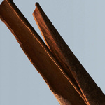 Boss Bottled Eau de Toilette 50ml - Image 4