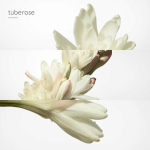 Hermes Twilly D'hermès Eau de Parfum 85ml - Image 4