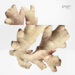 Hermes Twilly D'hermès Eau de Parfum 85ml - Image 3