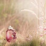 Coach Wild Rose Eau de Parfum 90ml - Image 4