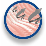 Prim Aqtivo Skin Ελαστική Περιαγκωνίδα για Επικονδυλίτιδα σε Μπεζ χρώμα - Image 3