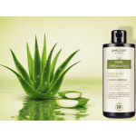 PostQuam Professional Pure Organicals Sensitive Scalp Σαμπουάν για το Ευαίσθητο Τριχωτό για Όλους τους Τύπους Μαλλιών 400ml - Image 2