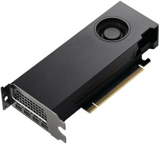 PNY RTX 2000 Ada 16GB GDDR6 Κάρτα Γραφικών - Image 1