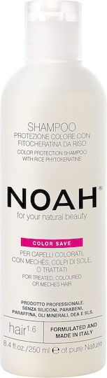 Noah for Beauty Color Save Σαμπουάν Αναδόμησης/Θρέψης & Διατήρησης Χρώματος για Βαμμένα Μαλλιά 1000ml - Image 1