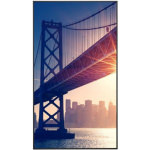 Sharp ULSHA043LME4320 Public Display LED 43" HDR - Image 2