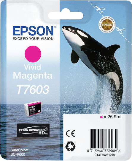 Epson T7603 Γνήσιο Μελάνι Εκτυπωτή InkJet Vivid Ματζέντα (C13T76034N10) - Image 1