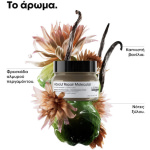 L'Oréal Professionnel Absolut Repair Molecular Μάσκα Μαλλιών για Επανόρθωση 250ml - Image 4