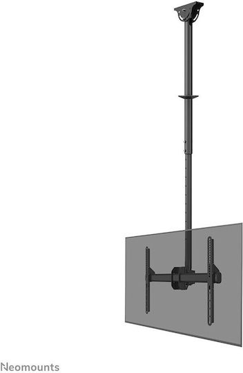 Βάση Τηλεόρασης Neomounts Cl35-440bl16l 177,8 Εκ 70" Μαύρο - Image 1