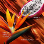 Escada Bali Paradise Eau de Toilette 50ml - Image 2