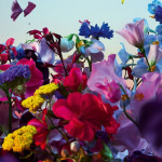 Absolus Allegoria Florabloom Eau De Parfum 125ml - Image 4