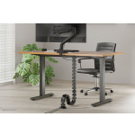 Neomounts Cable Spine Organizer Sit Stand Desk Frames Screw Mounted Black