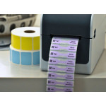 Brother Εκτυπωτής Ετικετών Απευθείας Μεταφοράς USB, Serial - Image 3