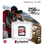 Kingston Canvas React Plus V60 SDXC 256GB Class 10 U3 V60 UHS-II - Image 4