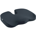 Leitz Seat Cushion 35.5x7.5x45.5cm Gray 52840089