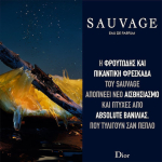 Dior Sauvage Eau de Parfum 200ml - Image 3