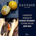 Dior Sauvage 2015 Eau de Toilette 200ml - Image 3