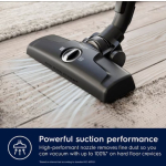 Electrolux EB61A5UG Vacuum Cleaner 750W Bagged 3.5lt Gray - Image 6