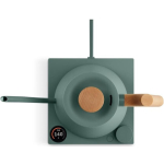 Fellow Stagg Ekg Pro Kettle 900ml 1200W Green - Image 2