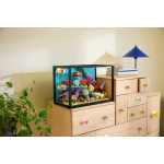 LEGO Icons Tropical Aquarium For 18+ Years 4154 Pieces - Image 2